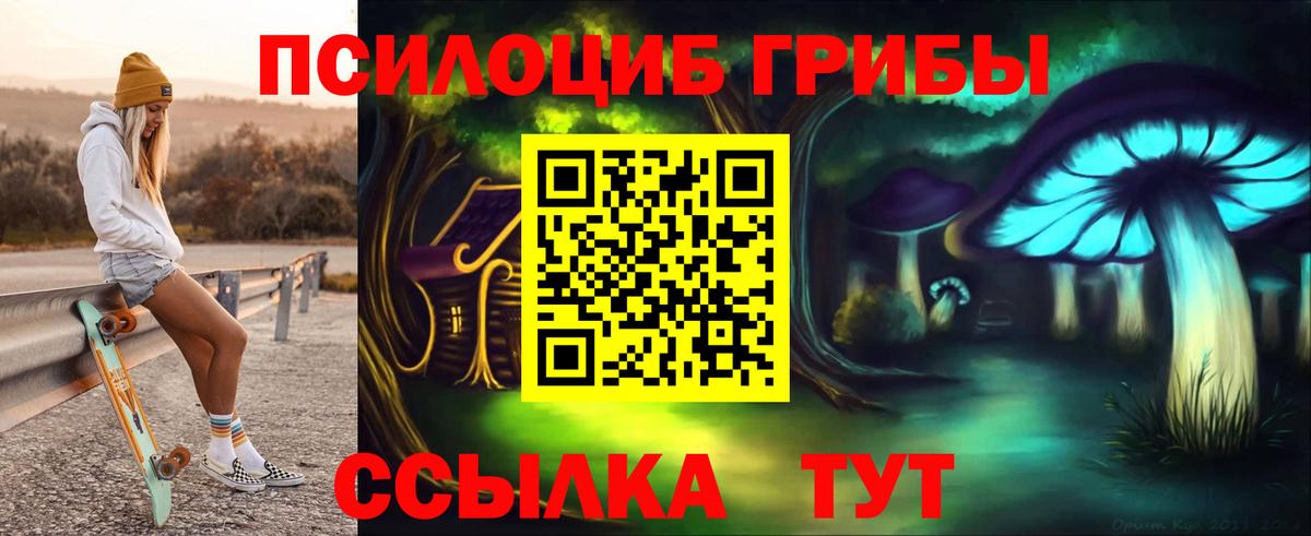 Псилоцибиновые грибы Psilocybe  Вход с VPN  Ачинск 